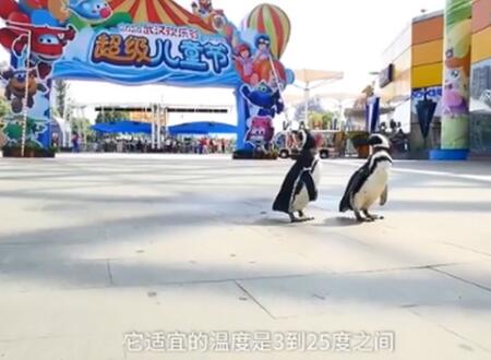 过仙桥是什么有什么寓意 古墓发现过仙桥