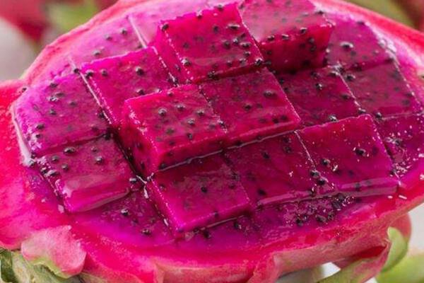 草莓可以和火龙果一起吃吗 草莓和火龙果一起吃好处 草莓可以和火龙果一起吃吗 草莓和火龙果一起吃好处