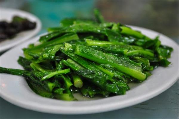 油麦菜的功效和作用 油麦菜可以减肥吃吗 油麦菜的功效和作用 油麦菜可以减肥吃吗