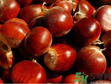 吃板栗会胖吗?吃板栗会不会发胖? 吃板栗会胖吗?吃板栗会不会发胖?