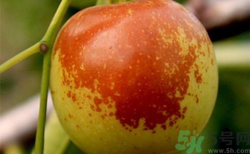 冬枣可以带上飞机吗?冬枣可以托运吗 冬枣可以带上飞机吗?冬枣可以托运吗