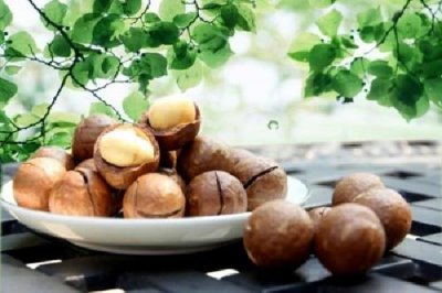 ​夏威夷果变软能吃吗 夏威夷果软了怎么办