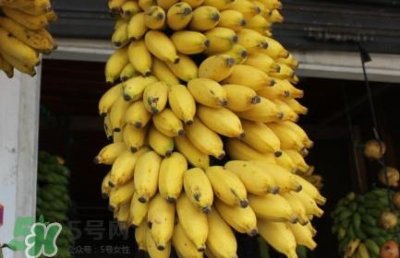 ​芭蕉不熟可以吃吗？芭蕉怎么催熟