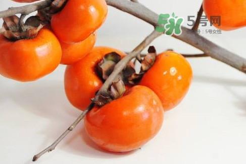 柿子多少钱一斤 柿饼多少钱一斤 柿子多少钱一斤 柿饼多少钱一斤