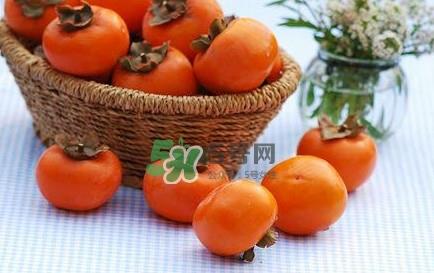 柿子多少钱一斤 柿饼多少钱一斤 柿子多少钱一斤 柿饼多少钱一斤