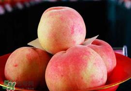 桃子可以放冰箱吗?桃子能放冰箱保鲜吗? 桃子可以放冰箱吗?桃子能放冰箱保鲜吗?