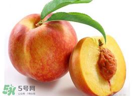 桃子可以放冰箱吗?桃子能放冰箱保鲜吗? 桃子可以放冰箱吗?桃子能放冰箱保鲜吗?