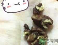 三只松鼠多少钱一袋?三只松鼠价格 三只松鼠多少钱一袋?三只松鼠价格