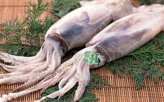 鱿鱼和鸡蛋可以同时食用?鱿鱼不能和什么一起吃 鱿鱼和鸡蛋可以同时食用?鱿鱼不能和什么一起吃