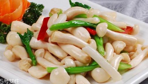 白玉菇的吃法 白玉菇能炖鸡吗? 白玉菇的吃法 白玉菇能炖鸡吗?