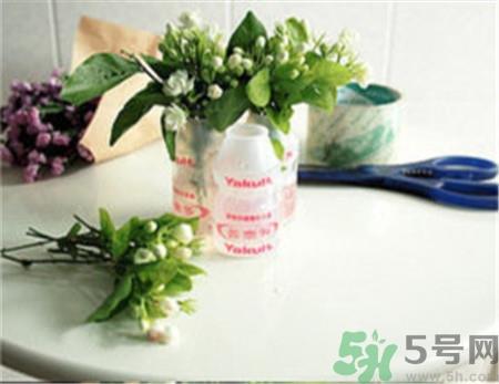 养乐多的瓶子可以做什么?养乐多的瓶子diy 养乐多的瓶子可以做什么?养乐多的瓶子diy
