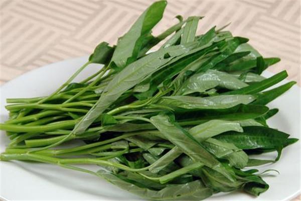 空心菜可以凉拌吗 空心菜凉拌的方法 空心菜可以凉拌吗 空心菜凉拌的方法