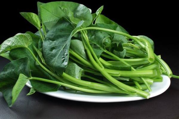 空心菜可以凉拌吗 空心菜凉拌的方法 空心菜可以凉拌吗 空心菜凉拌的方法