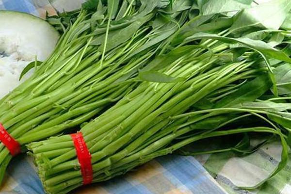 空心菜可以凉拌吗 空心菜凉拌的方法 空心菜可以凉拌吗 空心菜凉拌的方法