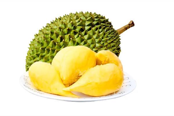 金枕榴莲和普通榴莲的区别 金枕榴莲几月份成熟上市 金枕榴莲和普通榴莲的区别 金枕榴莲几月份成熟上市