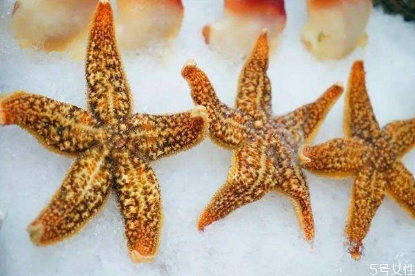 海星可以吃吗 海星有什么营养价值呢 海星可以吃吗 海星有什么营养价值呢