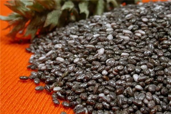 奇亚籽用酸奶泡可以吗 奇亚籽用酸奶泡多久 奇亚籽用酸奶泡可以吗 奇亚籽用酸奶泡多久