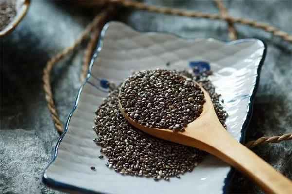 奇亚籽用酸奶泡可以吗 奇亚籽用酸奶泡多久 奇亚籽用酸奶泡可以吗 奇亚籽用酸奶泡多久