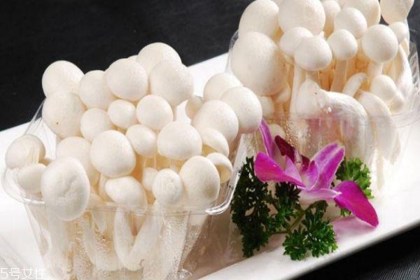 什么是白玉菇呢 白玉菇有什么功效呢 什么是白玉菇呢 白玉菇有什么功效呢