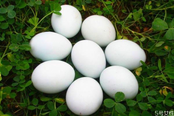 鹅蛋的热量高吗 吃鹅蛋会长胖吗 鹅蛋的热量高吗 吃鹅蛋会长胖吗