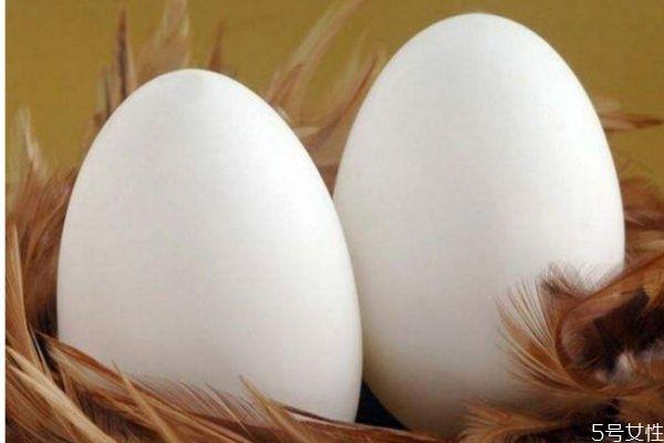 鹅蛋的热量高吗 吃鹅蛋会长胖吗 鹅蛋的热量高吗 吃鹅蛋会长胖吗