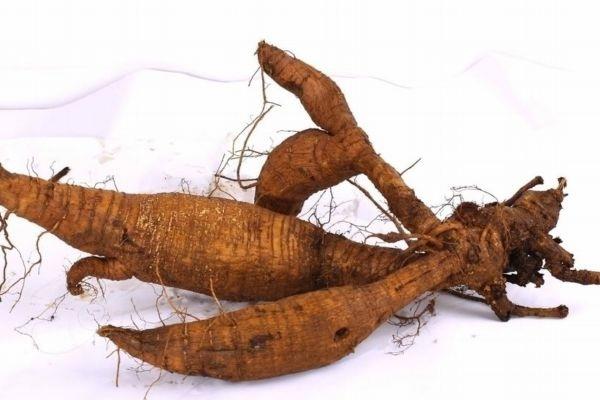 葛根主要分布的地区是哪里呢 吃葛根有什么好处呢 葛根主要分布的地区是哪里呢 吃葛根有什么好处呢