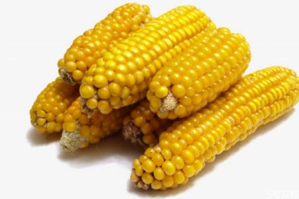 玉米可以减肥吗 玉米有减肥的功效吗 玉米可以减肥吗 玉米有减肥的功效吗