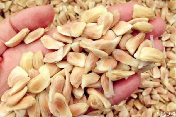 柚子核有什么作用呢 柚子核可以吃吗 柚子核有什么作用呢 柚子核可以吃吗