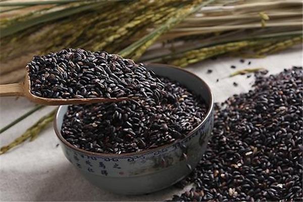 黑米是粗粮吗 黑米饭怎么做 黑米是粗粮吗 黑米饭怎么做