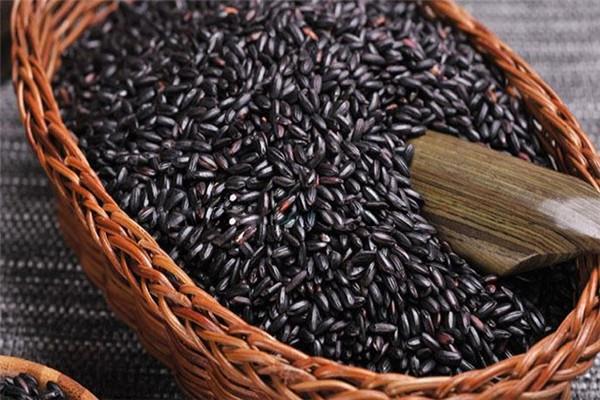 黑米是粗粮吗 黑米饭怎么做 黑米是粗粮吗 黑米饭怎么做