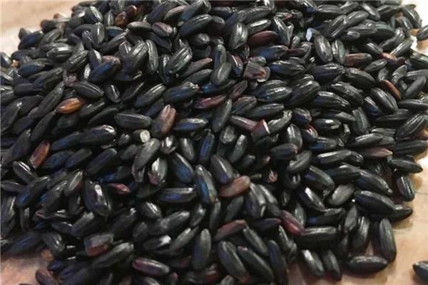 黑米是粗粮吗 黑米饭怎么做 黑米是粗粮吗 黑米饭怎么做