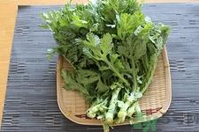 茼蒿孕妇能吃吗?孕妇吃茼蒿有什么好处 茼蒿孕妇能吃吗?孕妇吃茼蒿有什么好处