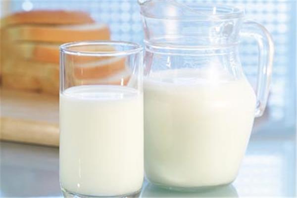 羊奶可以做酸奶吗 羊奶可以做什么美食 羊奶可以做酸奶吗 羊奶可以做什么美食