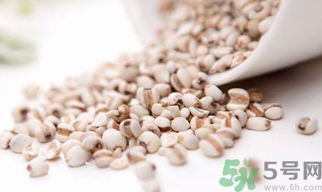 薏米怎么吃最除湿?薏米怎么吃除湿效果好? 薏米怎么吃最除湿?薏米怎么吃除湿效果好?