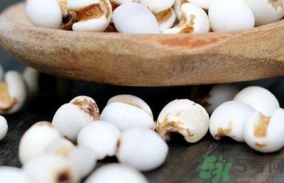 薏米怎么吃最除湿?薏米怎么吃除湿效果好?