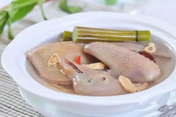 乳鸽汤用不用焯水 乳鸽汤怎么去腥味 乳鸽汤用不用焯水 乳鸽汤怎么去腥味