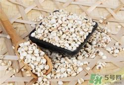 薏米发霉了还能吃吗?薏米发霉图片 薏米发霉了还能吃吗?薏米发霉图片