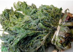 香椿腌制多久可以吃?香椿腌多长时间能吃? 香椿腌制多久可以吃?香椿腌多长时间能吃?