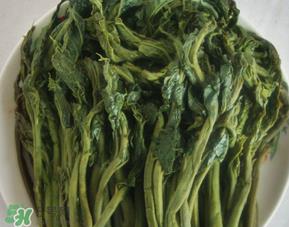 香椿腌制多久可以吃?香椿腌多长时间能吃? 香椿腌制多久可以吃?香椿腌多长时间能吃?