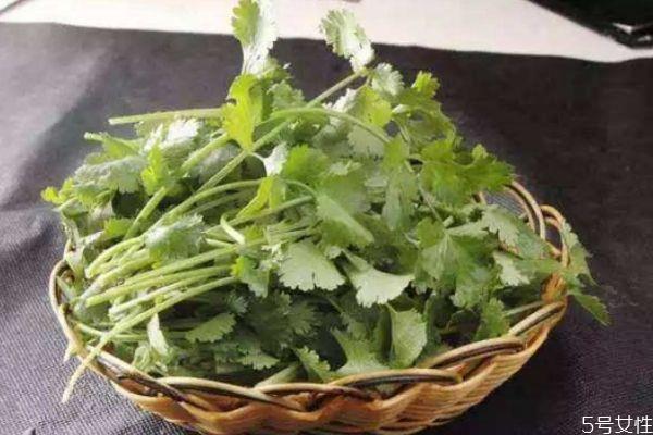 吃香菜会上火吗 吃香菜对男人有害处吗 吃香菜会上火吗 吃香菜对男人有害处吗
