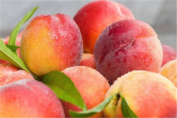 桃子的热量高吗 一般来说桃子的热量不高 桃子的热量高吗 一般来说桃子的热量不高