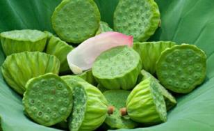 新鲜莲子什么时候有?新鲜莲子几月有? 新鲜莲子什么时候有?新鲜莲子几月有?