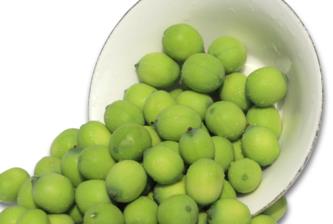 新鲜莲子什么时候有?新鲜莲子几月有? 新鲜莲子什么时候有?新鲜莲子几月有?