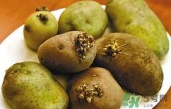 土豆长芽了还能吃吗?土豆长芽了可以吃吗? 土豆长芽了还能吃吗?土豆长芽了可以吃吗?