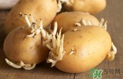 土豆长芽了还能吃吗?土豆长芽了可以吃吗? 土豆长芽了还能吃吗?土豆长芽了可以吃吗?