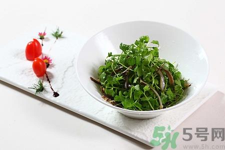 痛风能吃海参吗?痛风病人吃海参会怎么样 痛风能吃海参吗?痛风病人吃海参会怎么样