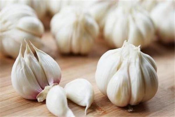 生吃大蒜伤胃吗 胃不好的人不建议生吃大蒜 生吃大蒜伤胃吗 胃不好的人不建议生吃大蒜