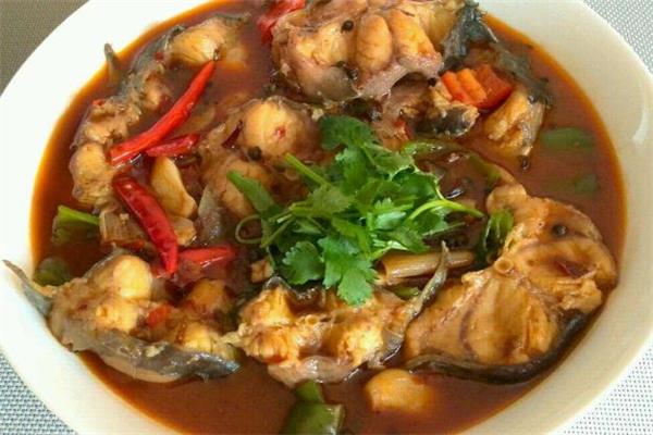 鲶鱼和草鱼哪个好吃 鲶鱼和草鱼哪个贵