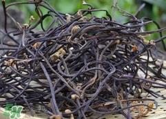 蕨菜要泡多久?蕨菜要泡多长时间?