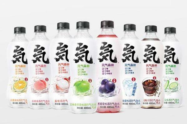 元气森林气泡水都有什么口味 元气森林气泡水哪个味道好 元气森林气泡水都有什么口味 元气森林气泡水哪个味道好